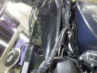 Kawasaki W800 2022