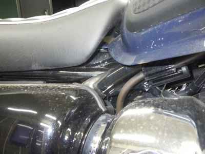 Kawasaki W800 2022