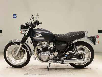 Kawasaki W800 2022