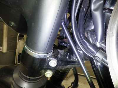 Kawasaki W800 Street 2020