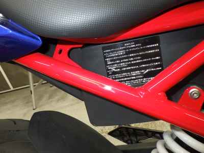 BMW G310R 2024