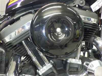 Harley-Davidson Sportster Forty-Eight XL1200XS 2019
