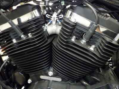Harley-Davidson Sportster Forty-Eight XL1200XS 2019