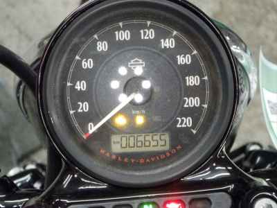 Harley-Davidson Sportster Forty-Eight XL1200XS 2019