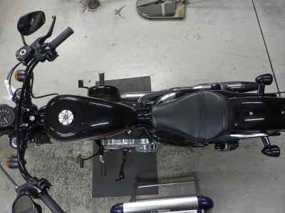 Harley-Davidson Sportster Forty-Eight XL1200XS 2019