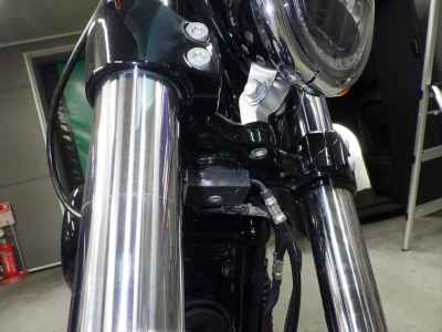 Harley-Davidson Sportster Forty-Eight XL1200XS 2019