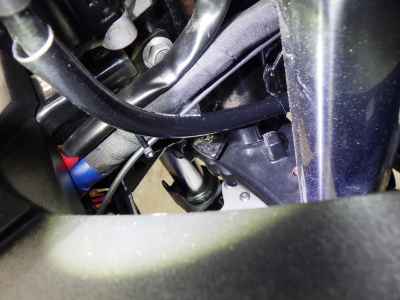Suzuki GSX250R