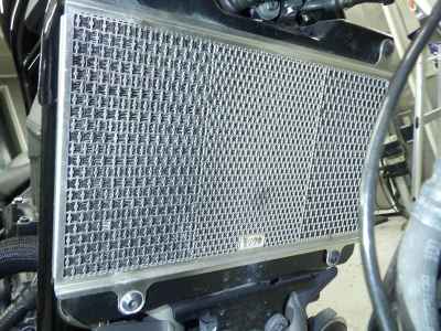 Honda Rebel T CMX1100 DCT 2021