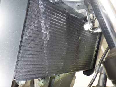 Suzuki SV650X 2023