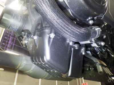 Honda CL500 2025