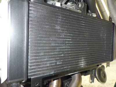 Kawasaki Z650RS 2023