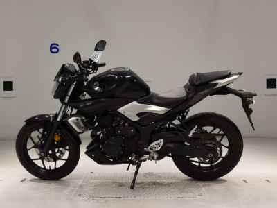 Yamaha MT-25 2016