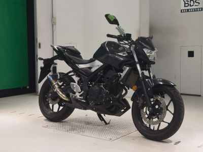 Yamaha MT-25 2016