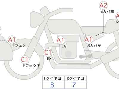 Kawasaki D-Tracker 250 X