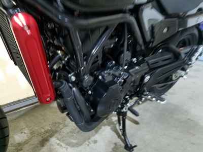 Harley-Davidson X500 2024