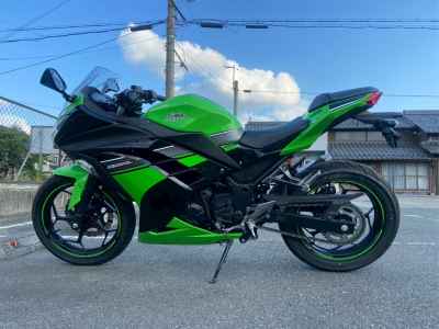 Kawasaki Ninja 250 Special Edition 2013
