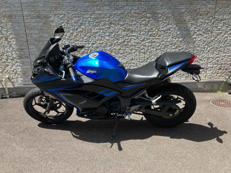 Kawasaki Ninja 250 2015