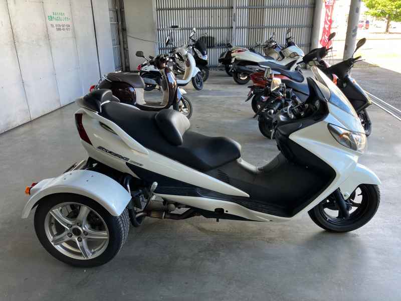 Suzuki SKY WAVE250 Trike