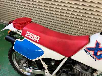 Honda XR250R