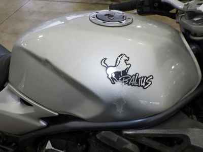 Kawasaki Balius