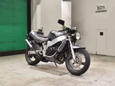 Suzuki WOLF250