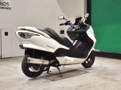 Honda Forza Z 2006