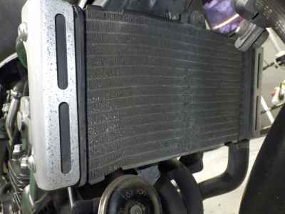 Honda Hornet 250 2007