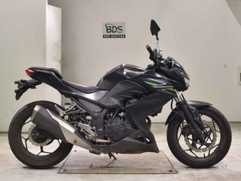 Kawasaki Z250 2013