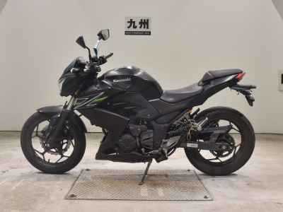 Kawasaki Z250 2013