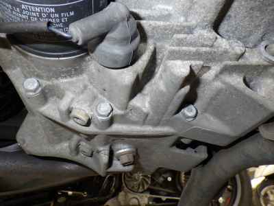 Honda Forza Z 2008