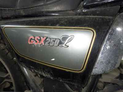 Suzuki GSX250L