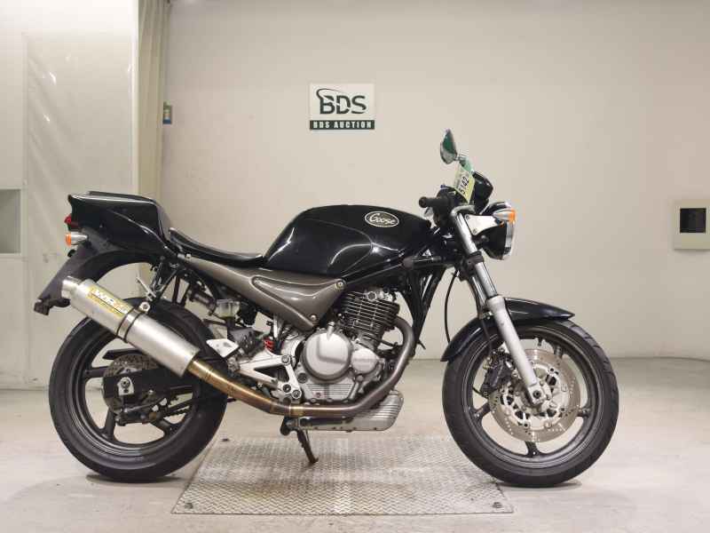 Suzuki Goose 250