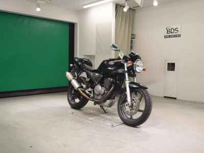 Suzuki Goose 250