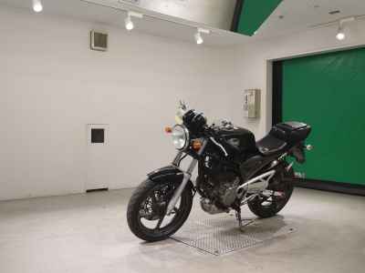Suzuki Goose 250