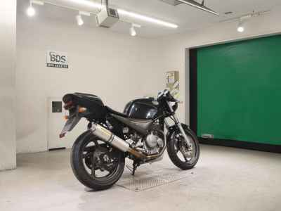 Suzuki Goose 250