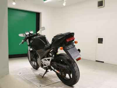 Suzuki Goose 250
