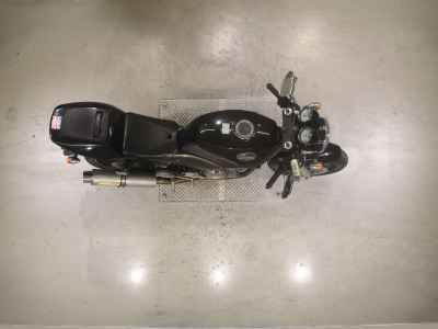 Suzuki Goose 250