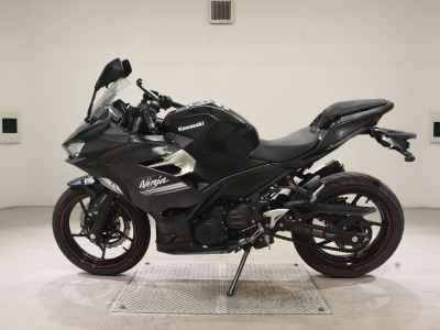 Kawasaki Ninja 250 2021