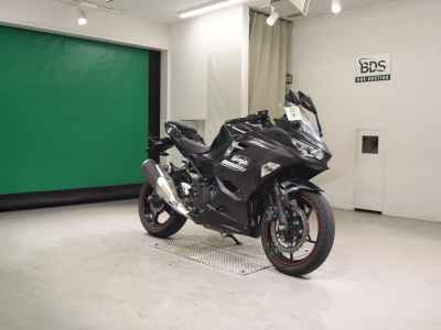 Kawasaki Ninja 250 2021