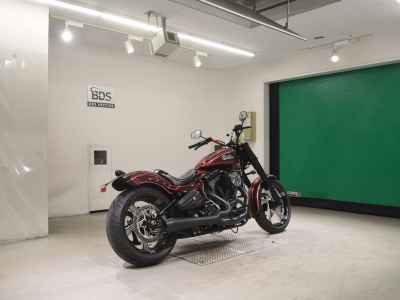 Harley-Davidson Fat Boy FLSTF 2010