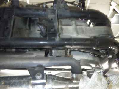 Harley-Davidson Sportster XL883 2006