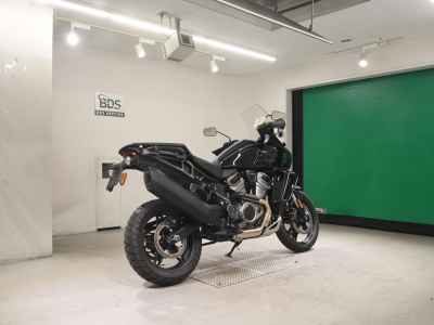 Harley-Davidson Pan America 1250 Special 2023