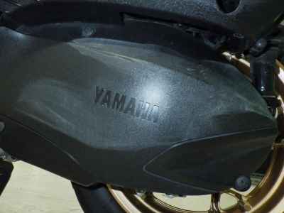 Yamaha XMAX 250 Trike 2023