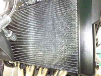 Honda CB650R E-Clutch 2025