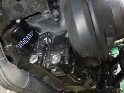 Honda Rebel CMX1100 2021