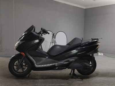 Honda Forza Z 2008