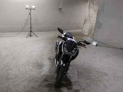 Kawasaki Z250 2014