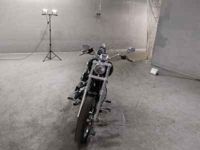 Harley-Davidson FXDL1580 2013
