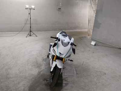 Yamaha YZF-R3 2019