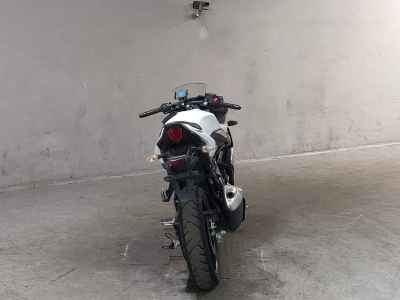 Suzuki GSX250R